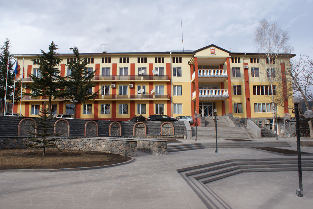 დმანისის მუნიციპალიტეტის თვითმმართველობა